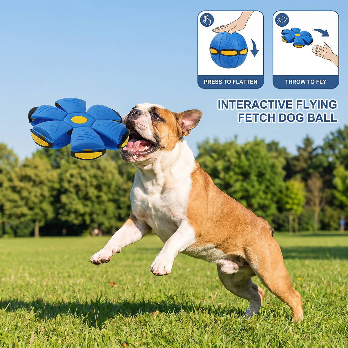 Flying Fetch Dog Ball - product image 4