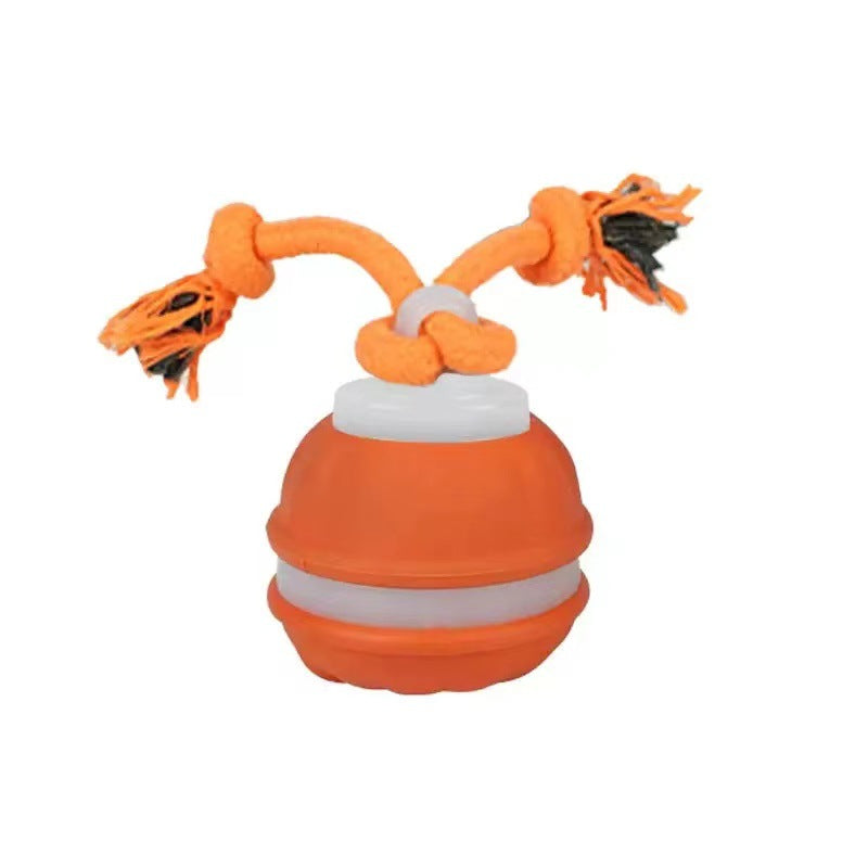 Motion-Sensor Dog Ball with Tug Rope - product image 5