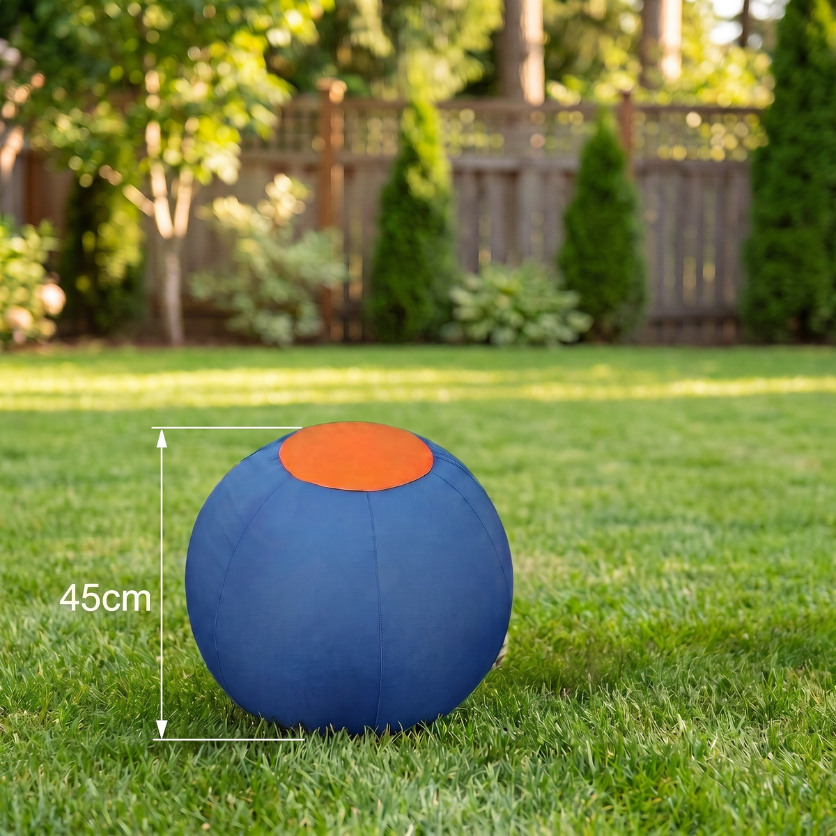 Inflatable Dog Herding Ball - product image 7