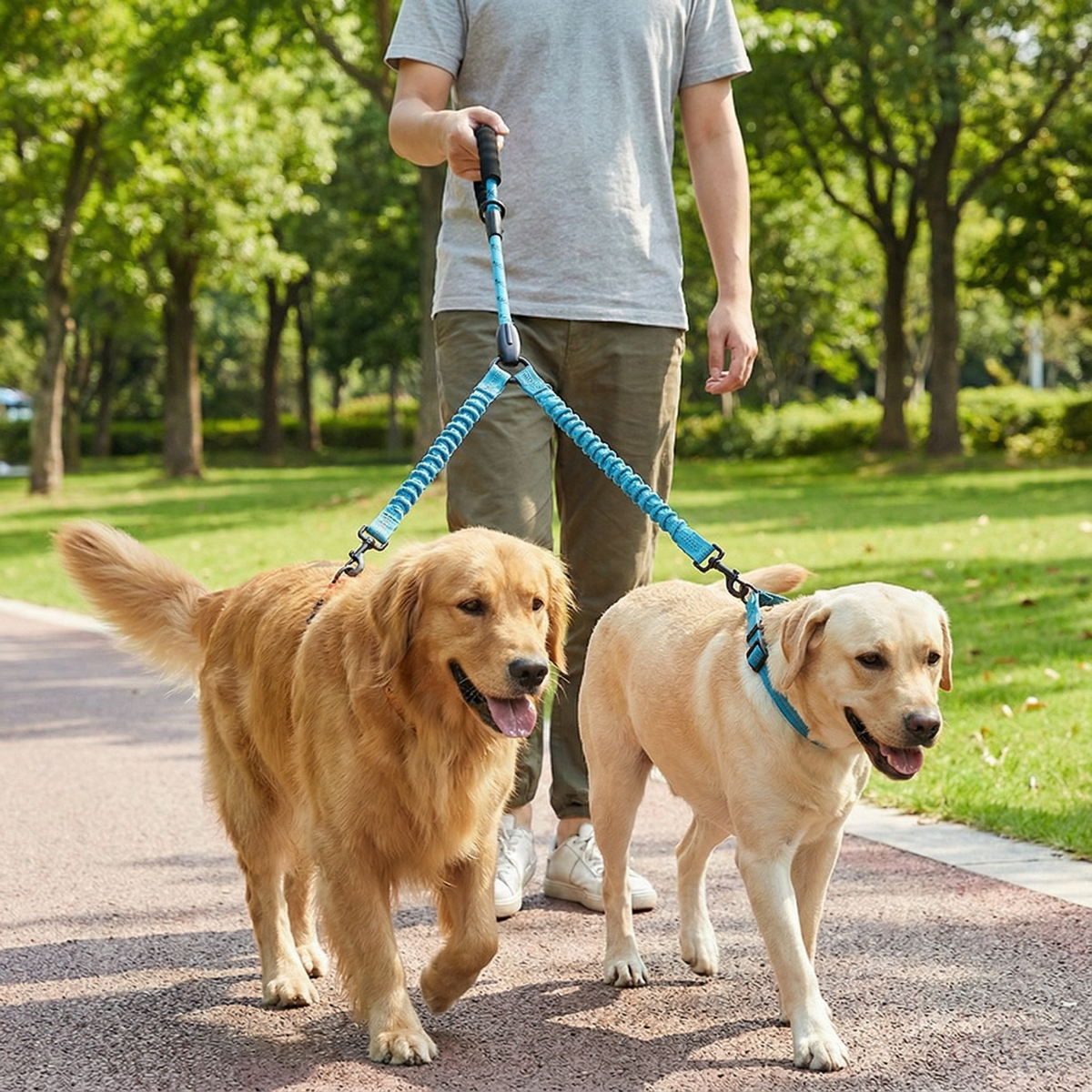 360° Swivel Double Dog Lead - product image 1