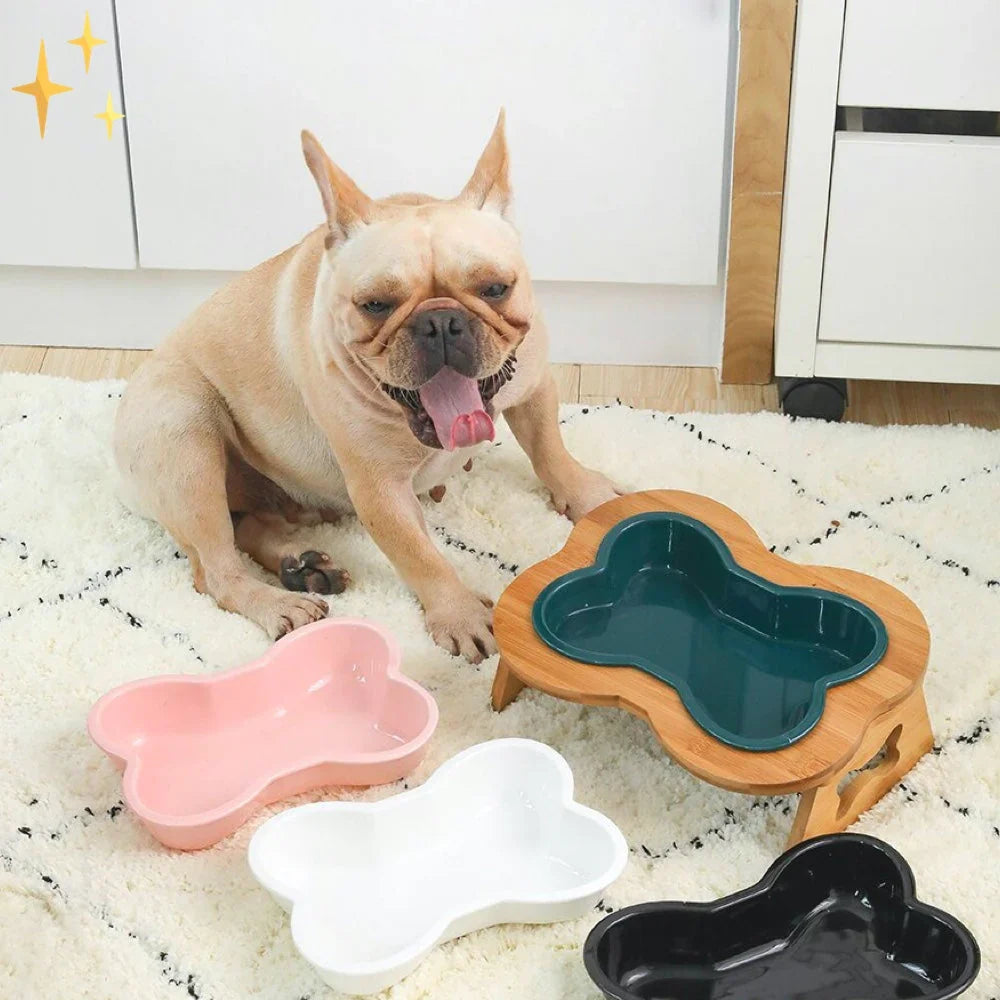 Elevated Ceramic Dog Bowl - product image 1