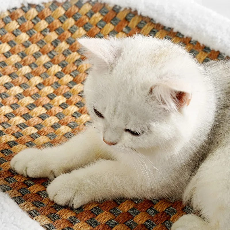 Sculpted Cat Scratcher Bed – cat product view 1