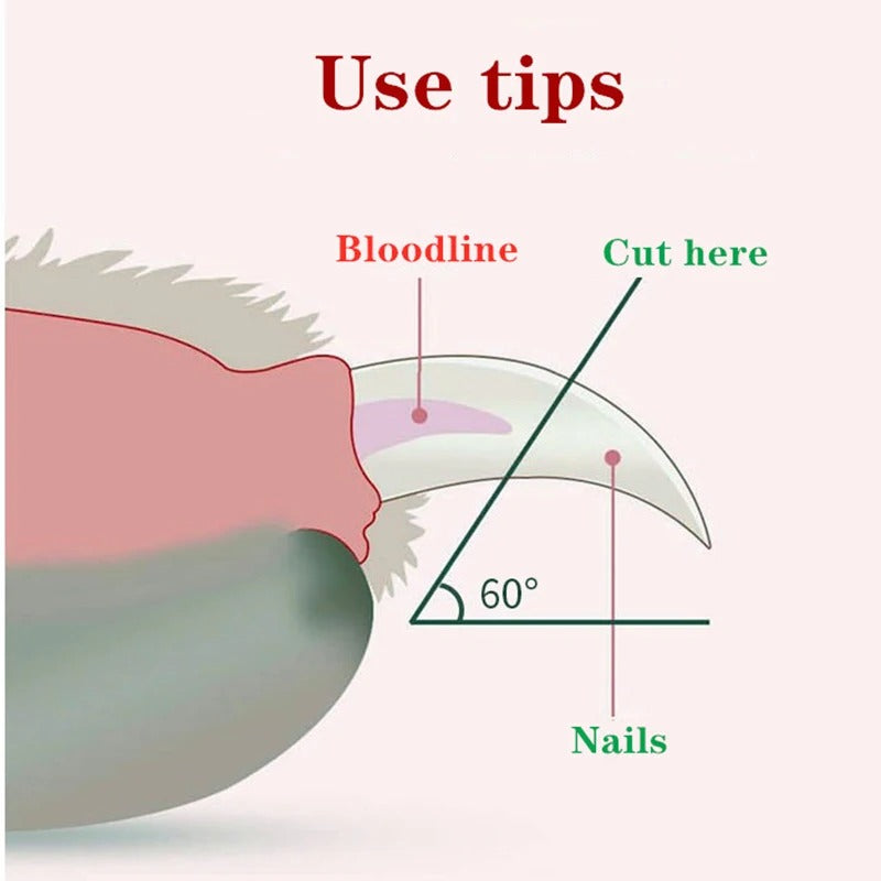 Dog Nail Clipper with Integrated Light – dog product view 3