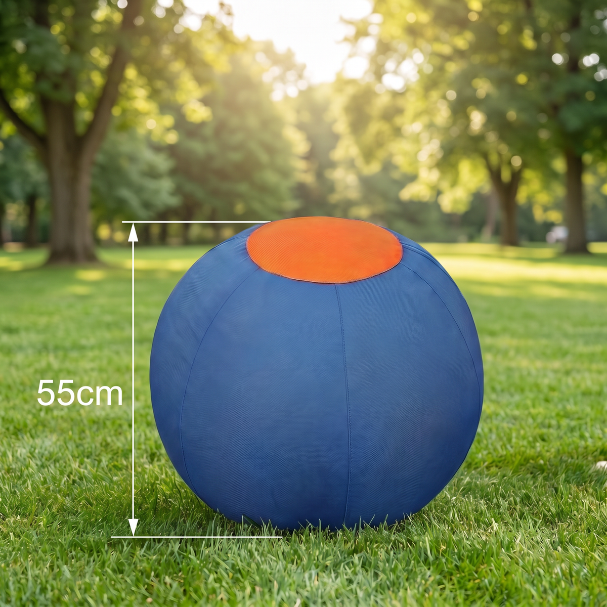 Inflatable Dog Herding Ball - product image 8